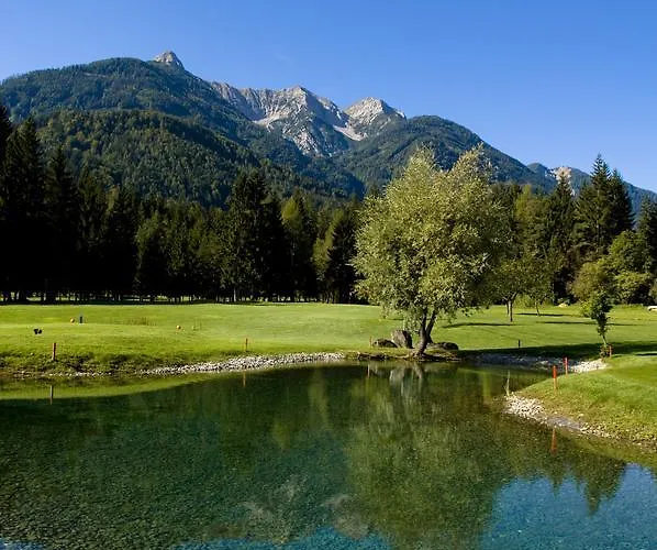 Waldpension Putz Hotel Berg im Drautal